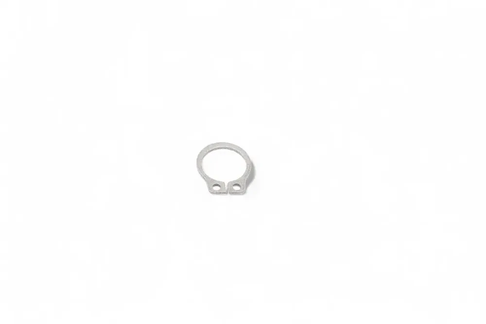 1319170 — RING
