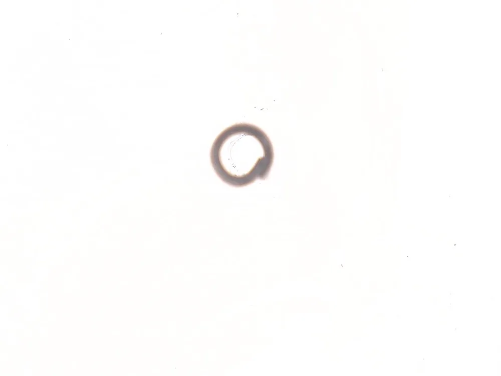 14J2540 — Pin, Straight
