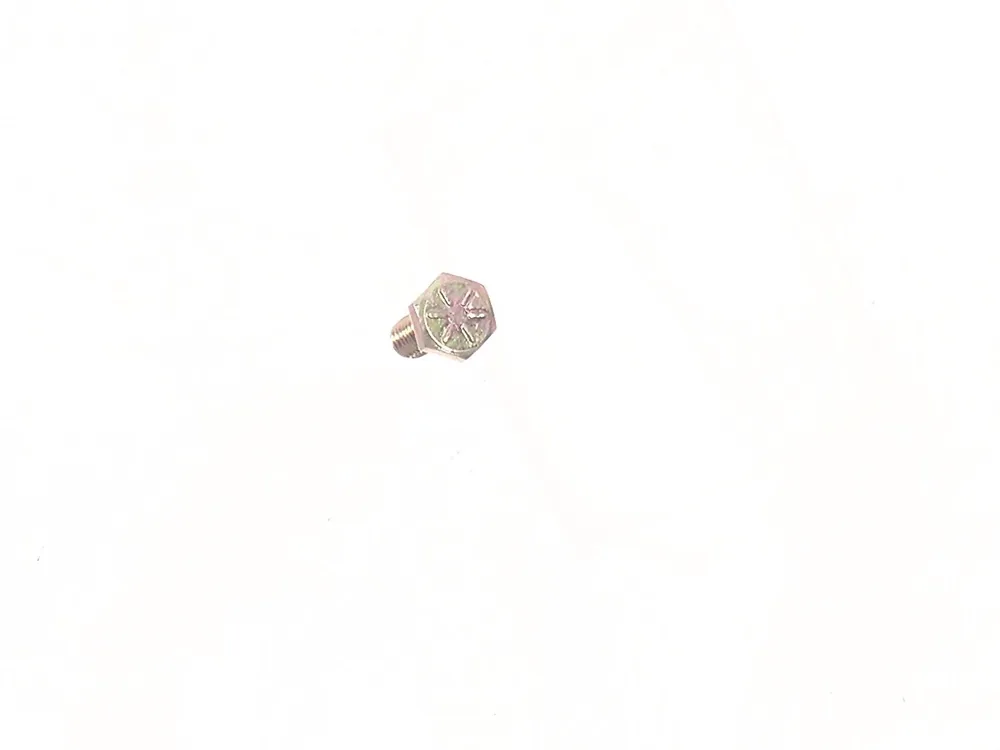 17C410 — Bolt