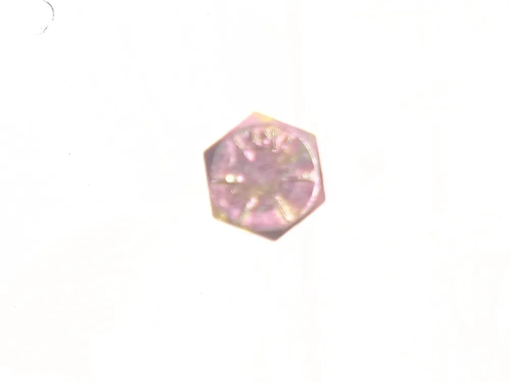 17C536 — Screw, Hex Cap