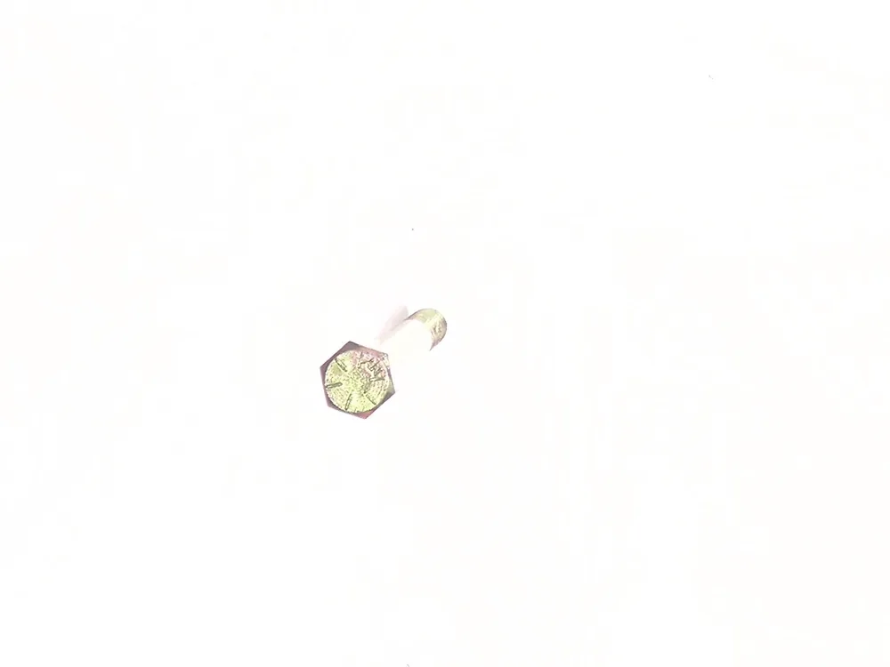 17C556 — Bolt
