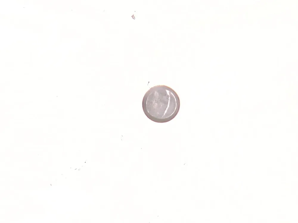 1992102 — Pin
