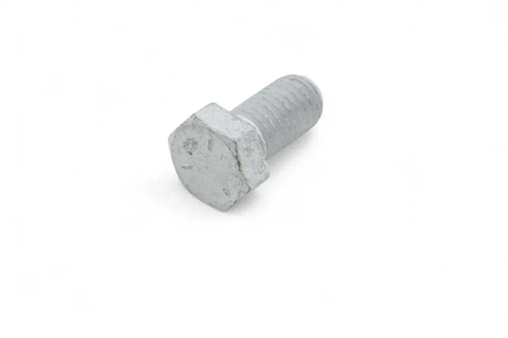1C816 — SCREW HEX CAP