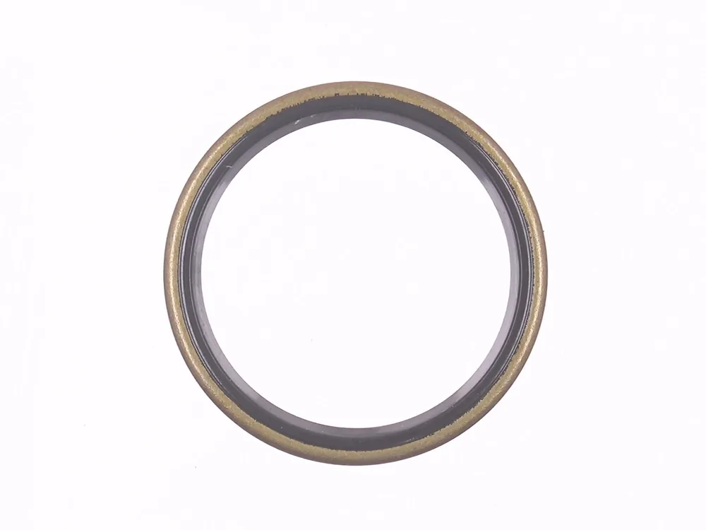 225855 — Oil Seal, Pack of 10