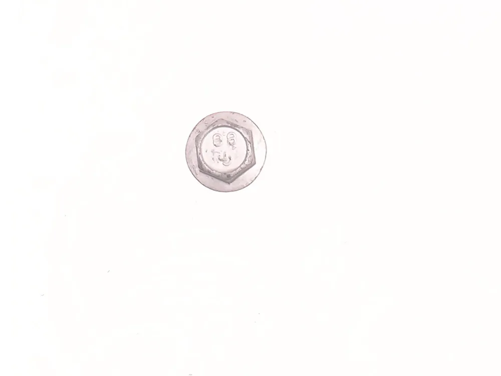 29CM1025 — Screw, Flanged Head Cap