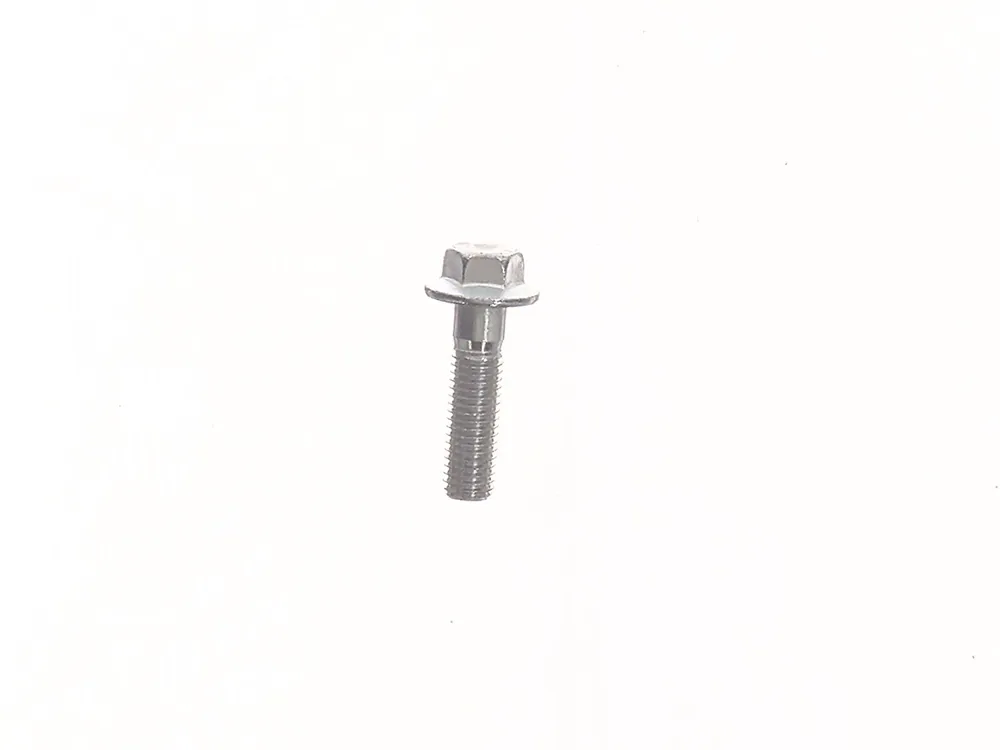 29CM1245 — Screw