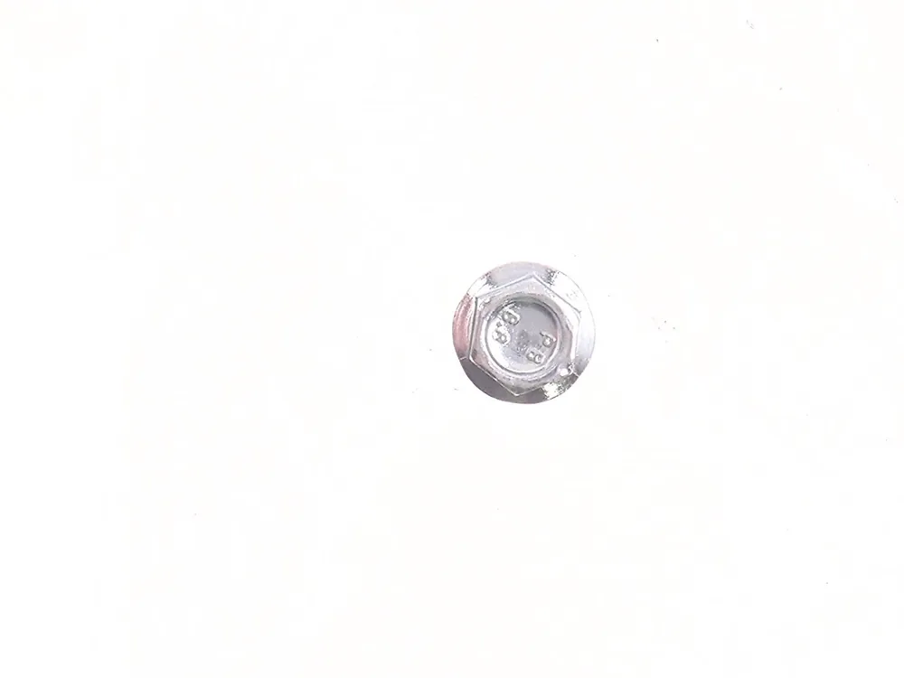 29CM620 — Screw Flgd Hex Cap