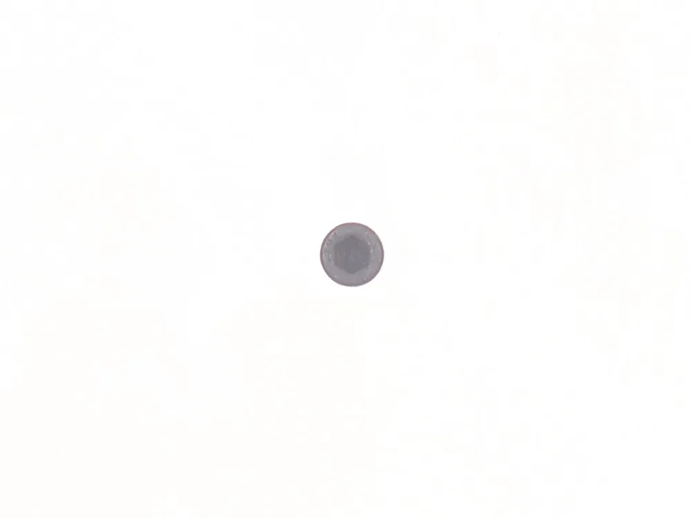 29G416 — Bolt