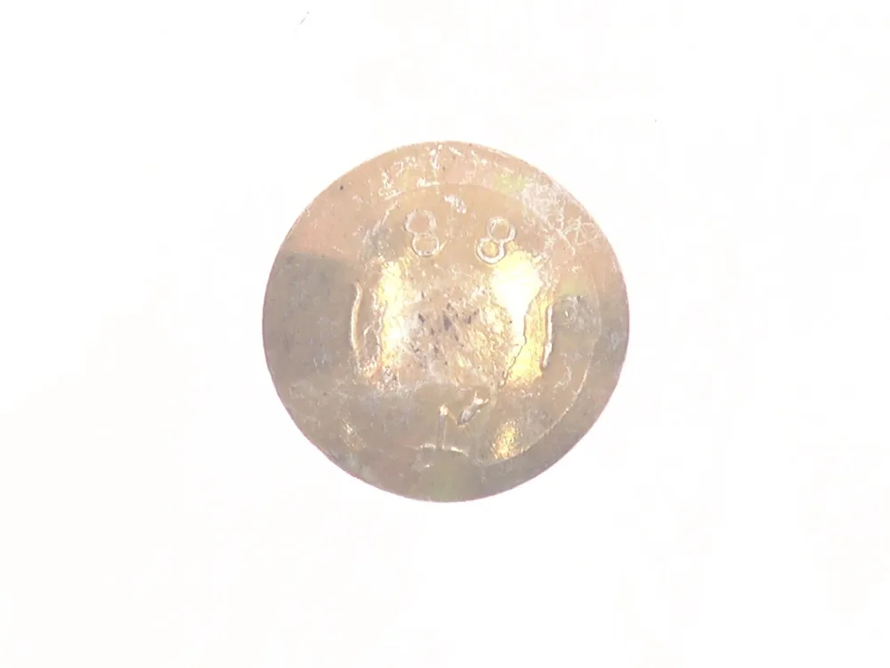 33CM820 — Bolt, Square Neck Round Head, Class 8.8