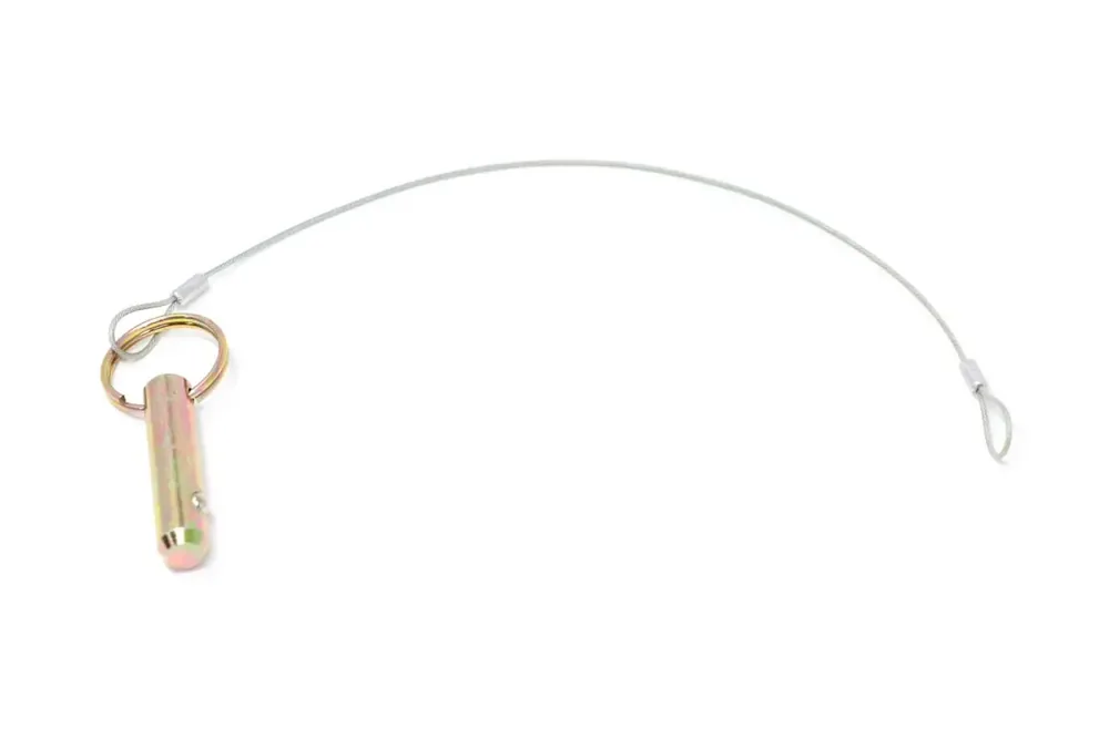 4159060 — ASSY  PIN AND LANYARD