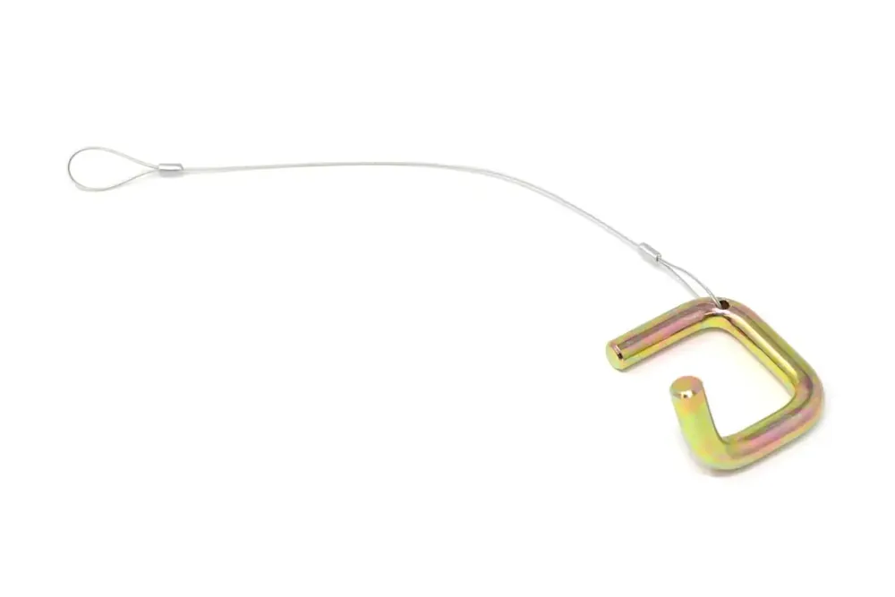 4165656 — ASSY-PIN AND LANYARD