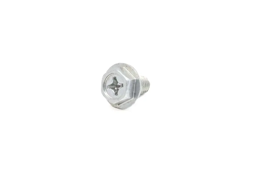 4173695 — BRIGGS P/N 805448 SCREW