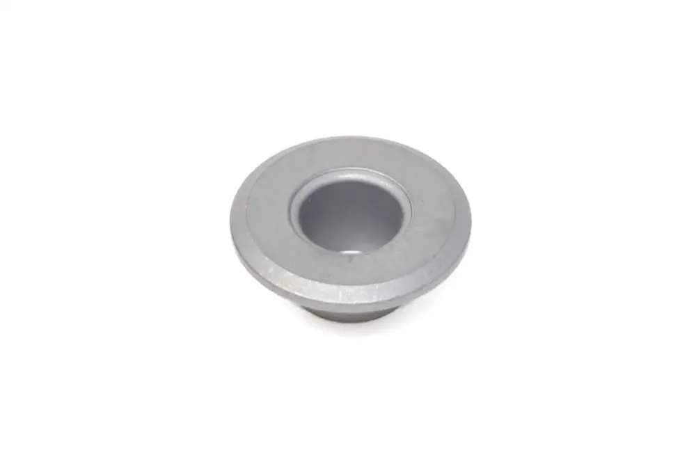 46902227 — RETAINER VALVE SPRING
