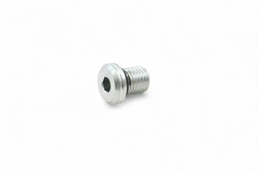 46975970 — SCREW PLUG