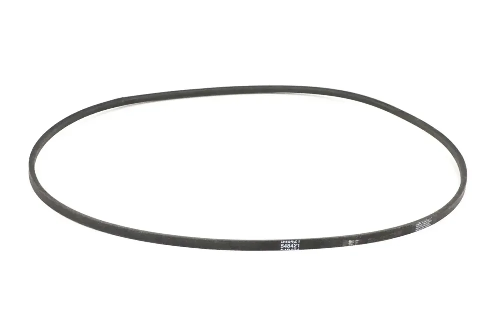 548421 — BELT