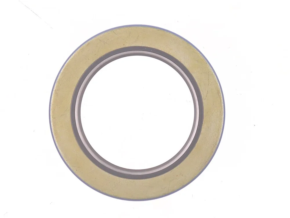 6513588 — Oil Seal