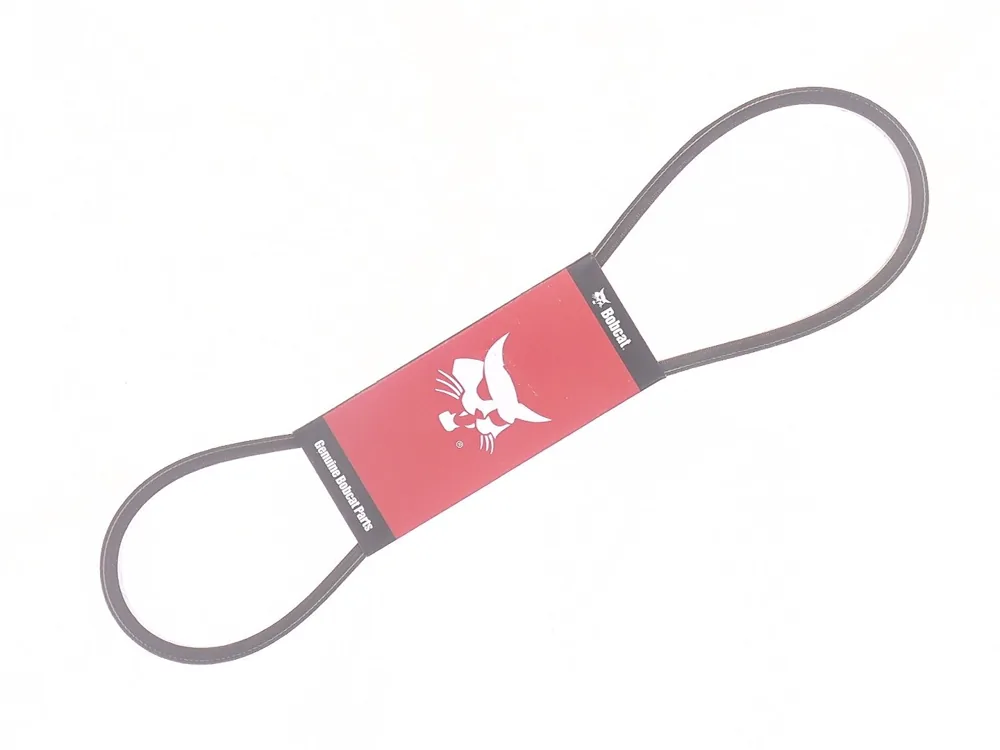 6564091 — BELT