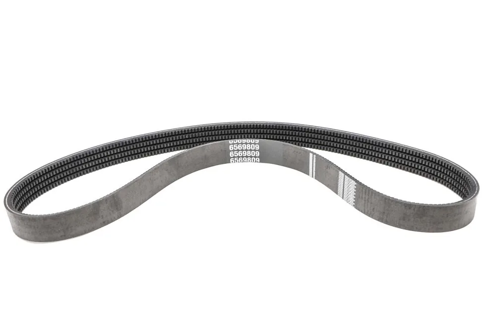 6569809 — Belt
