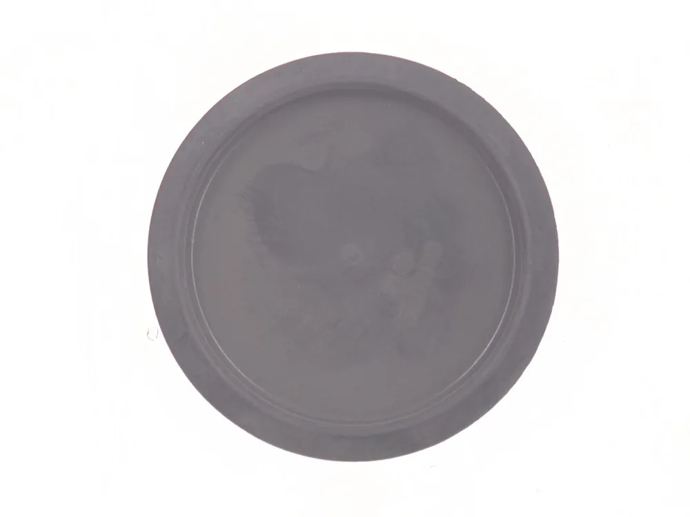 6620452 — Plug, Plastic Button