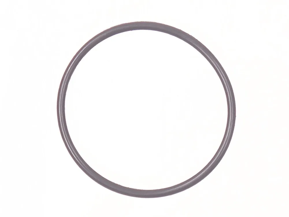 6645081 — O-Ring