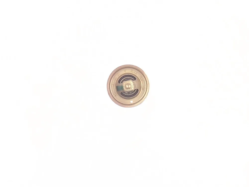 6652760 — Thermostat