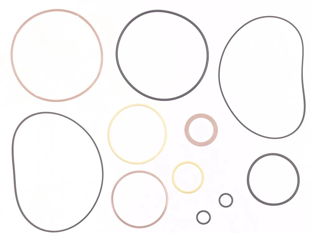 6659601 — Seal Kit for Hydrostatic Motor