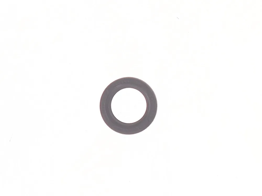 6662926 — Gasket