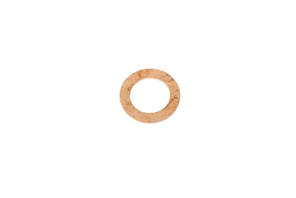 6666393 — SEAL RING
