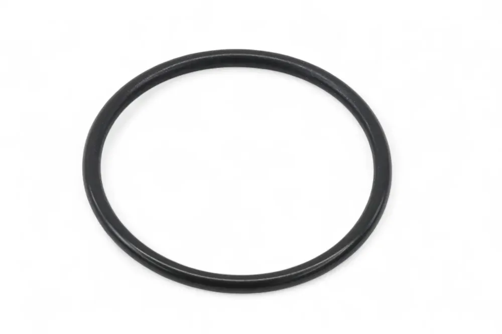6666409 — O-RING
