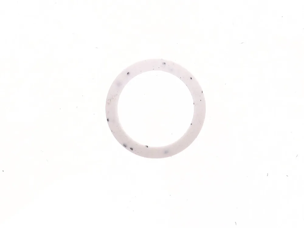 6666941 — Seal, Ring