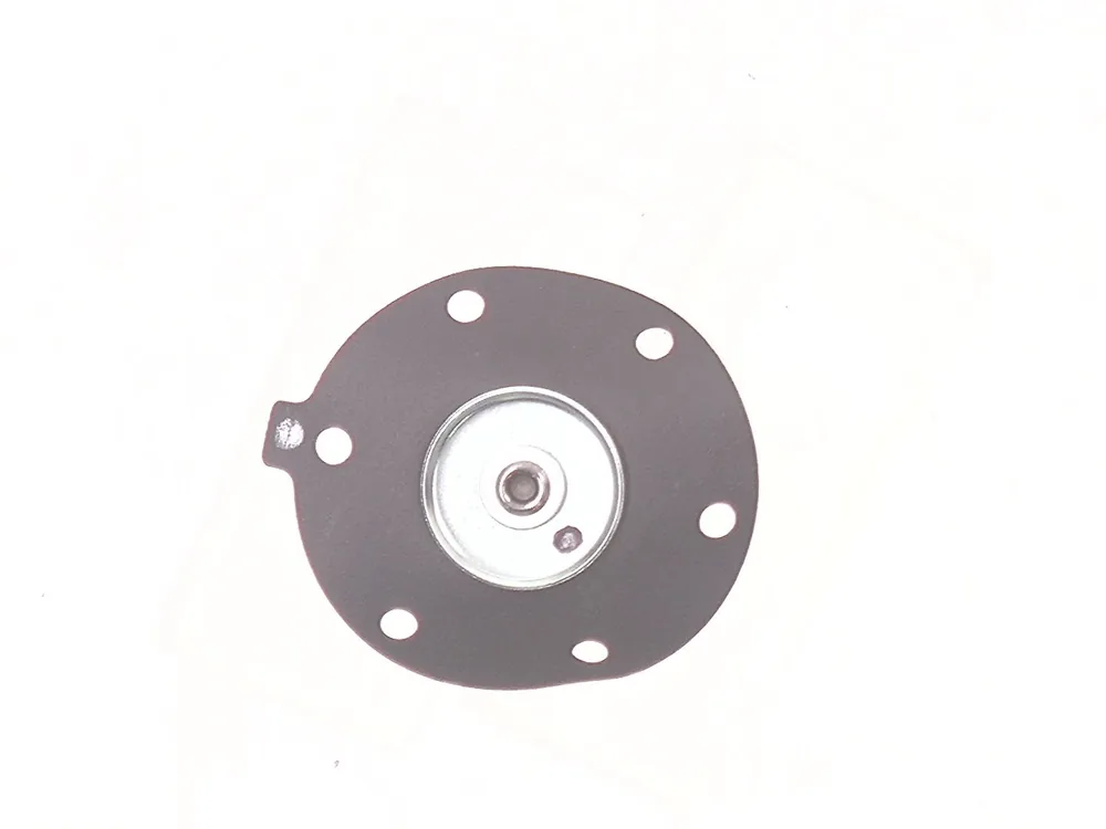6667458 — Pump, Diaphragm Fuel