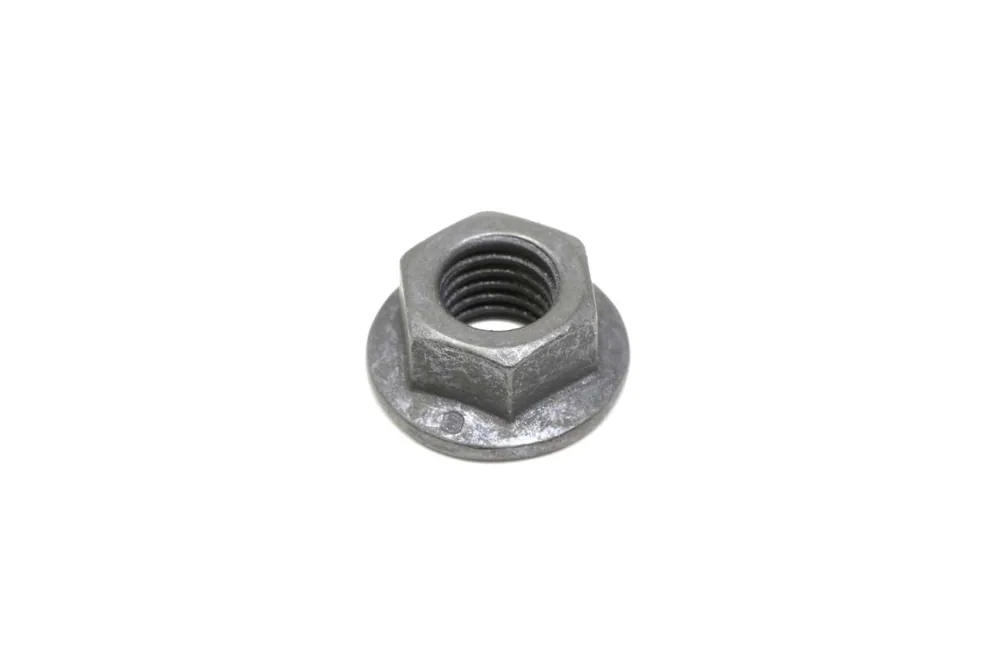 6668569 — Nut