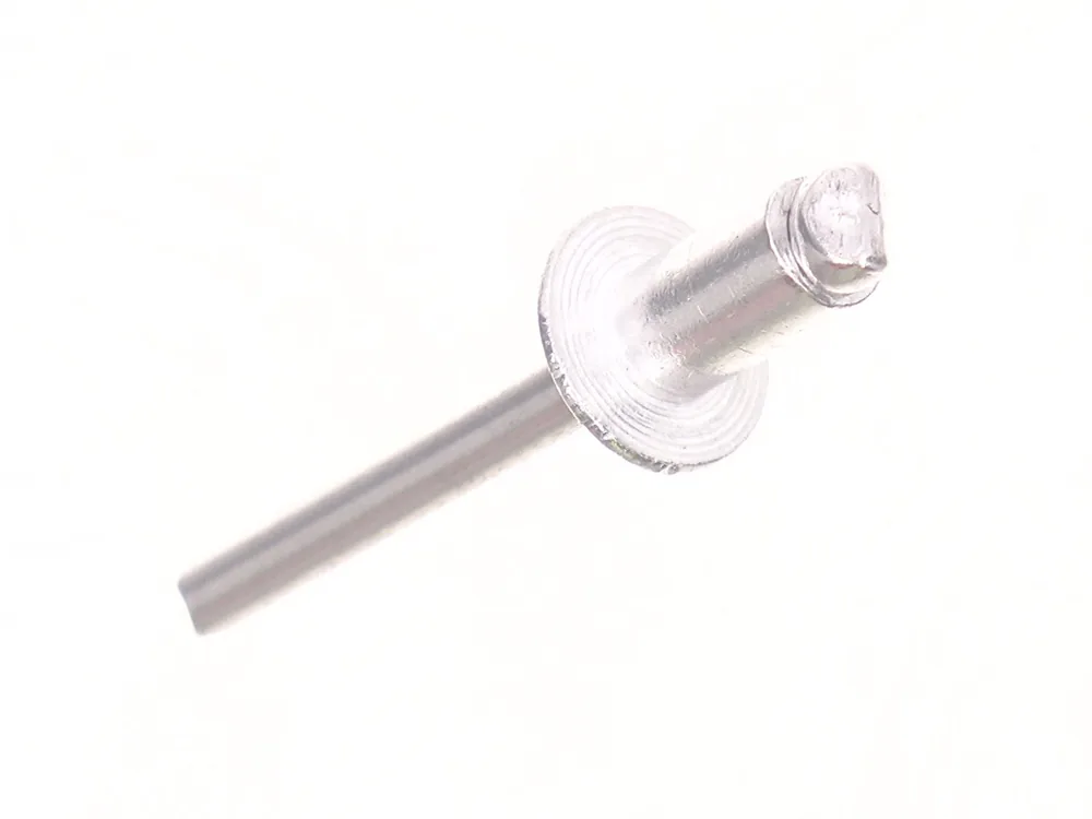 6669065 — Rivet, Pop