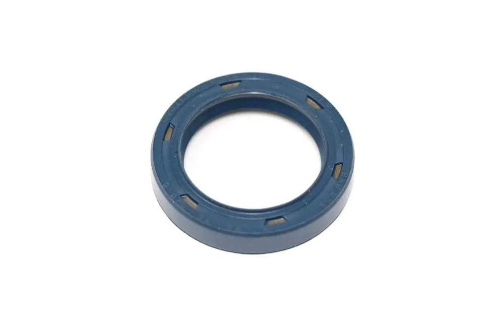 6669125 — Seal, Rubber