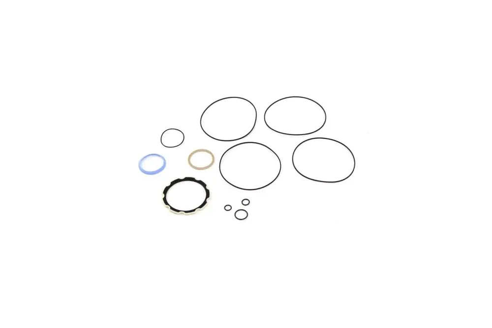 6669455 — Hydrostatic Seal Kit
