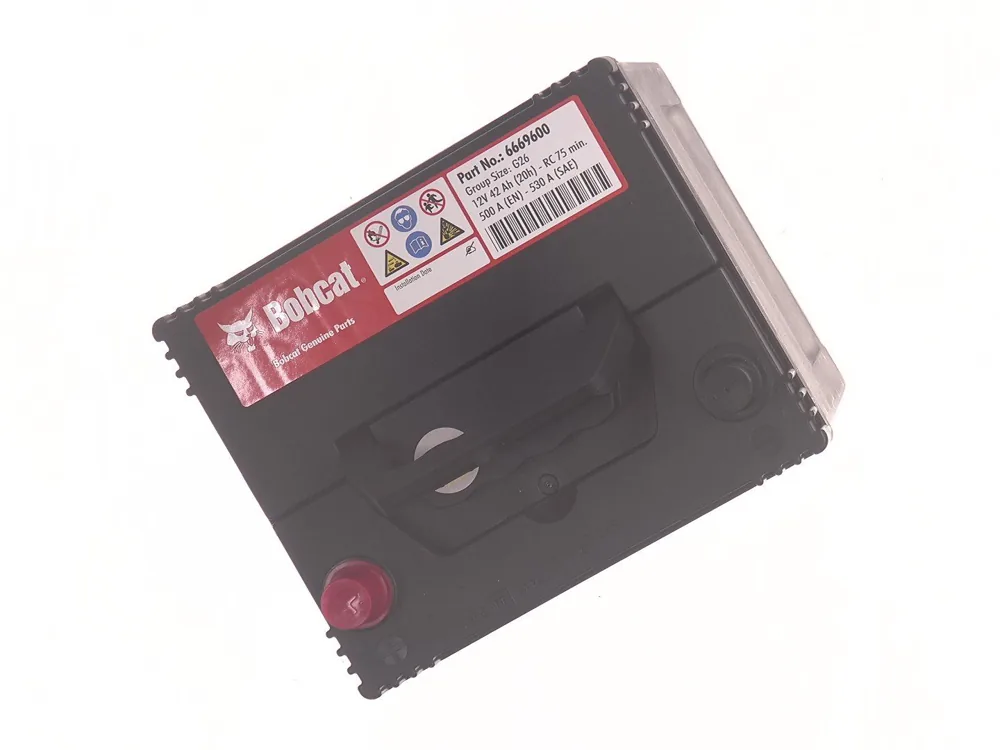 6669600 — WET BATTERY