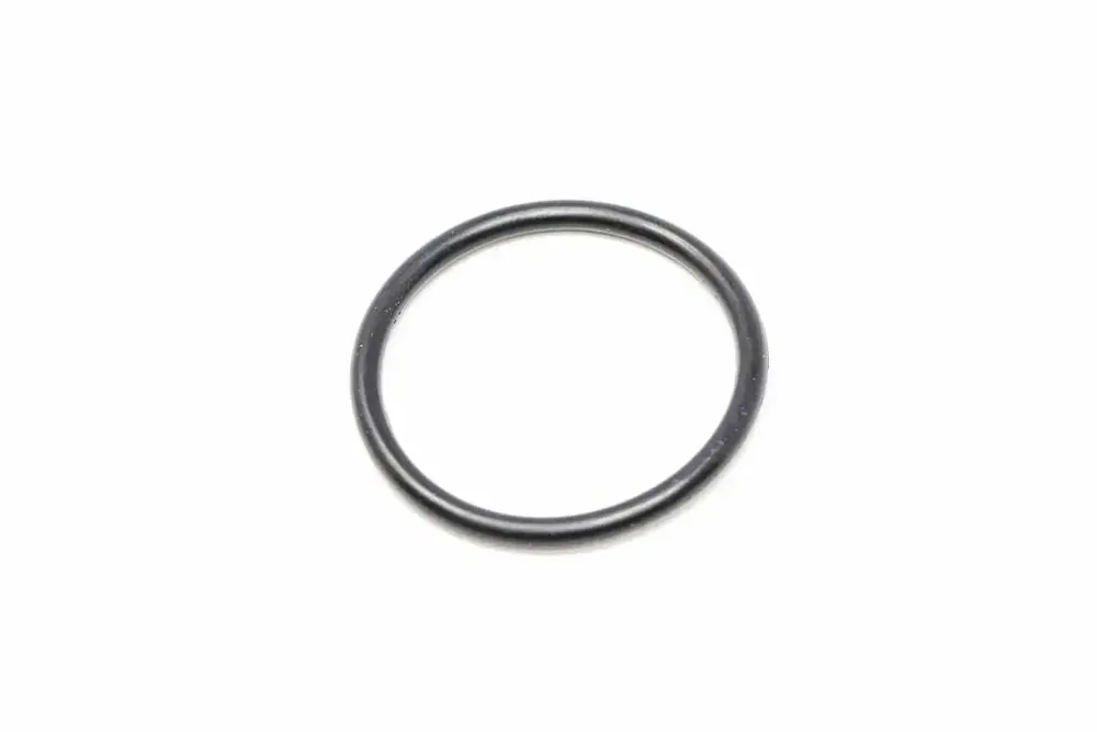 6669643 — O-RING