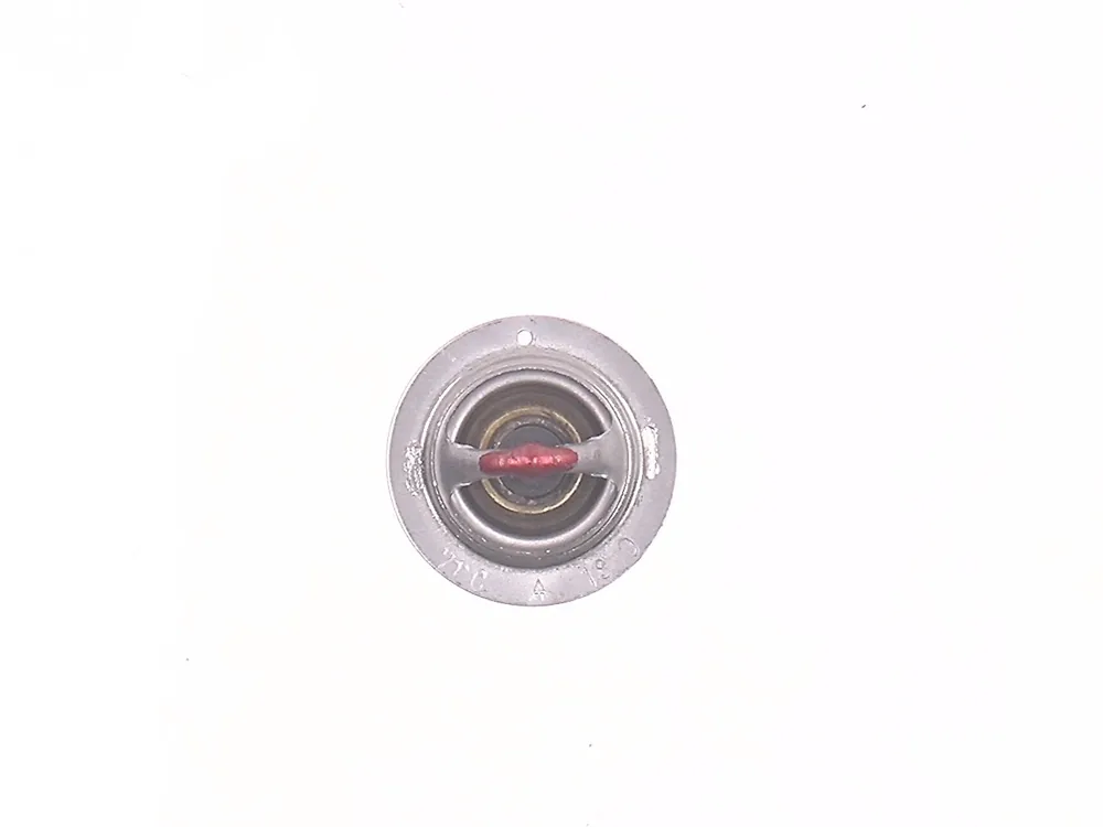6674172 — Thermostat