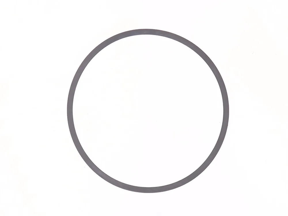 6674728 — Ring Seal