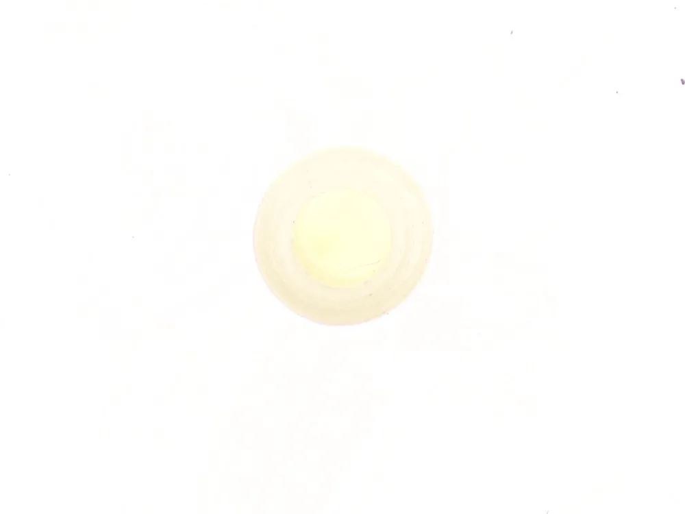 6675699 — Plug