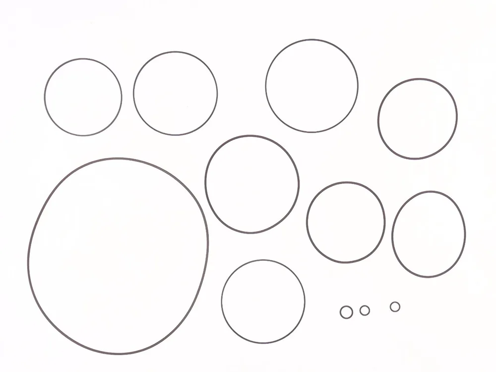 6676021 — Seal Kit