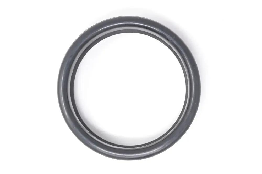 6676190 — GASKET
