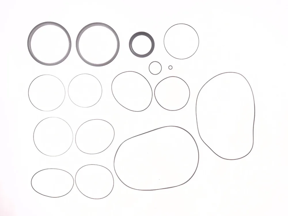 6676587 — Seal Kit