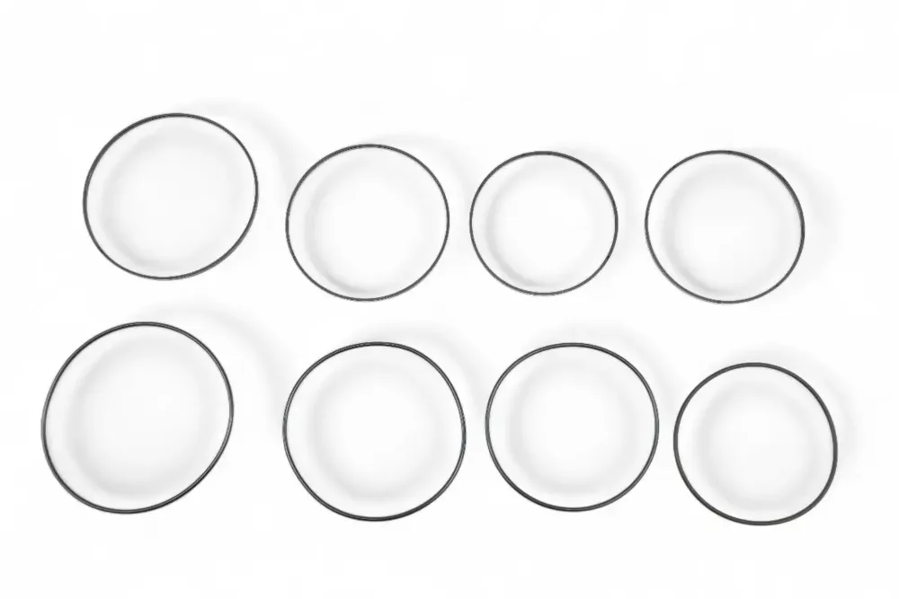 6676805 — RING KIT