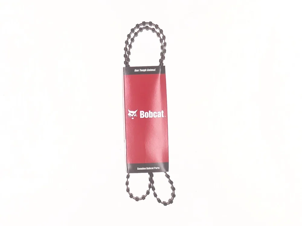 6677251 — Belt