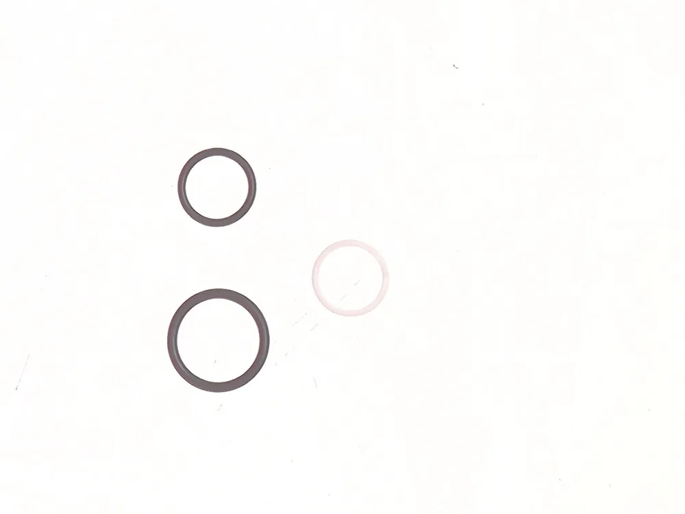 6677463 — Seal Kit