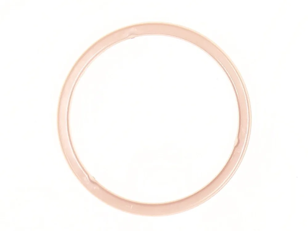 6678006 — Ring Backup