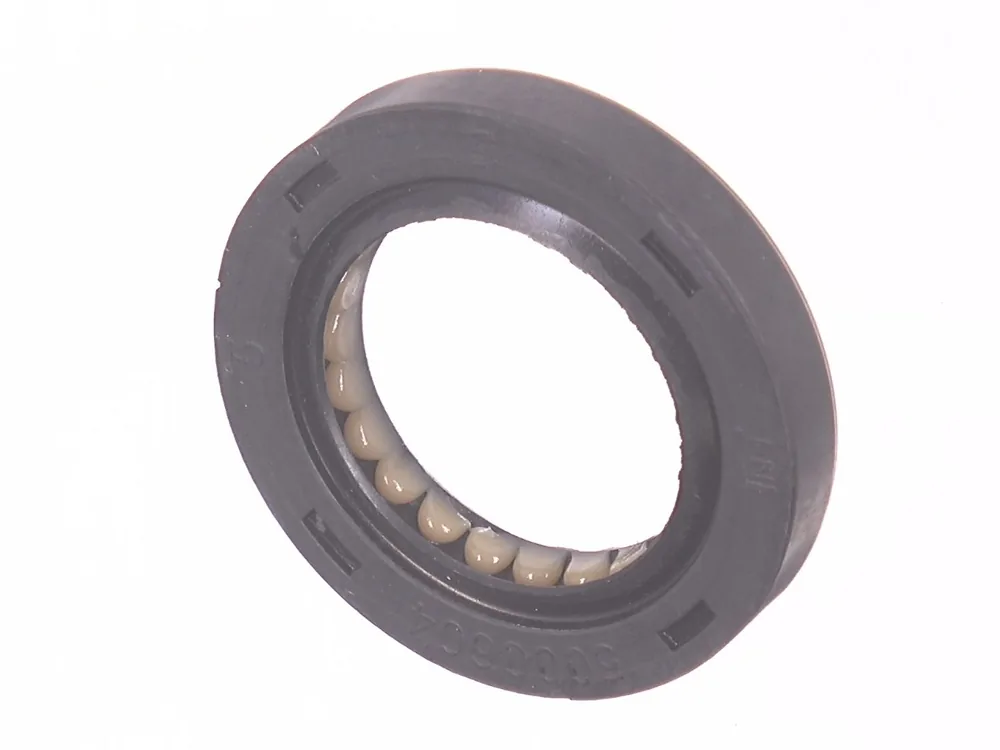 6678226 — Oil Seal