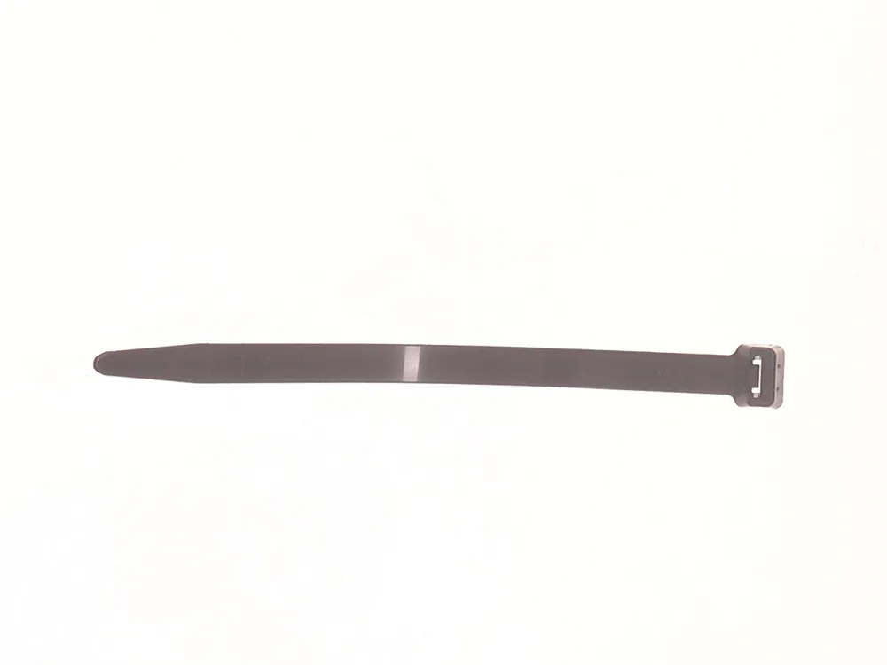 6678669 — Tie Strap, T250 Heavy-Duty