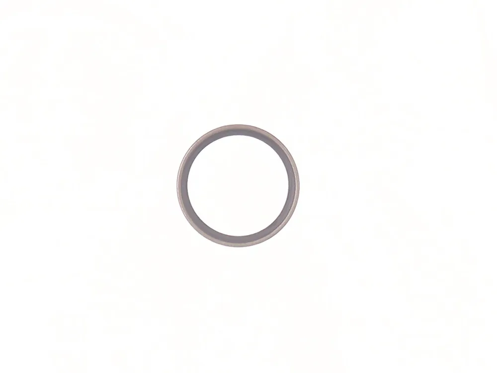 6678960 — Radial Lip Seal